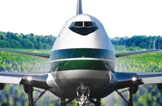 Flugzeug vor Palmöl Plantage und Regenwald