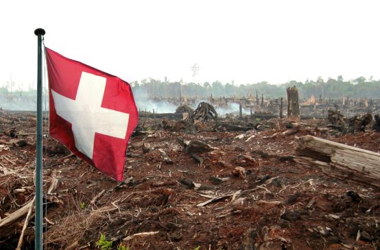 Schweizer Flagge verbrannter Wald