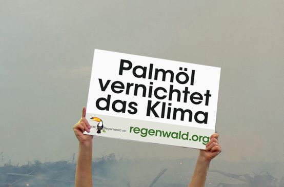 Banner von Rettet den Regenwald "Palmöl vernichtet das Klima"