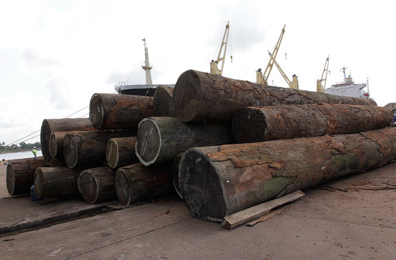 Holzstämme vor einem Hafen in Liberia