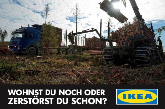 Abholzungsmaschinen mit Baumstämmen neben IKEA-Logo