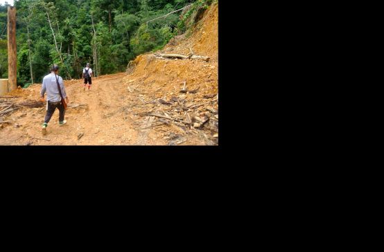 Illegale Rodung in Sarawak/Malaysia