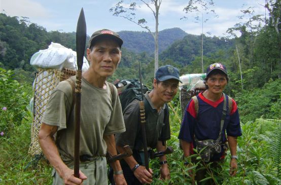 Drei indigene Männer tragen in Körben auf dem Rücken Gepäck durch den malayischen Regenwald.
