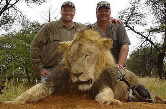 Der Trophäenjäger in Afrika