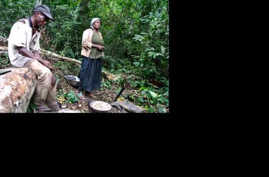 Verarmte Frau in Nigeria sammelt Forest Mangos