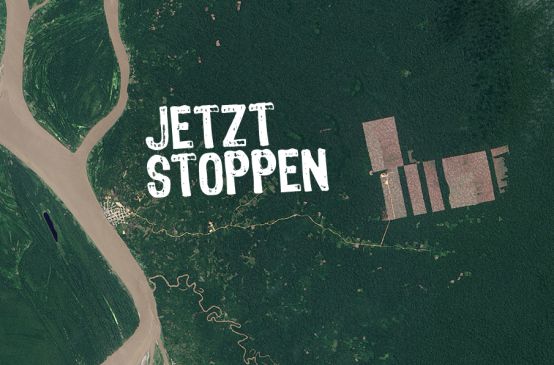 Ein Satelittenbild zeigt Rodungen in Peru. Darüber der Schriftzug: Jetzt stoppen