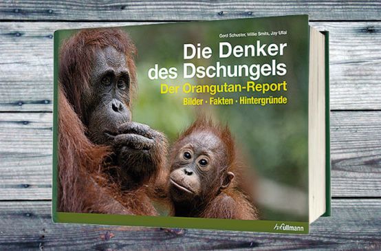 Buch mit Orang-Utans Affen