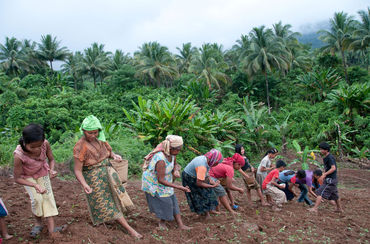 Feldarbeit auf Palawan