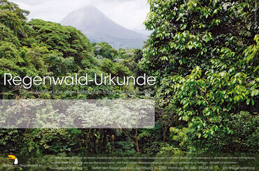 Regenwald