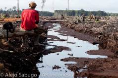 Ein Blick auf die traurige Wahrheit: Abholzung und Zerstörung