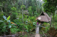 Im Regenwald von Peru sieht man ein Camp aus mehrern Häusern
