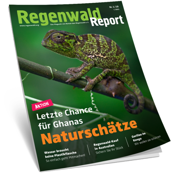 Regenwaldreport Aufmacher 1-18