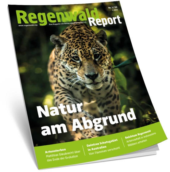 Titel Regenwald Report 1/20
