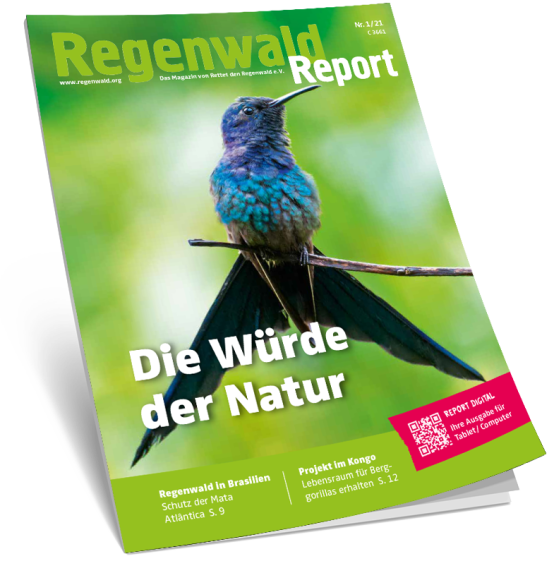 Titel Regenwald Report 1/21