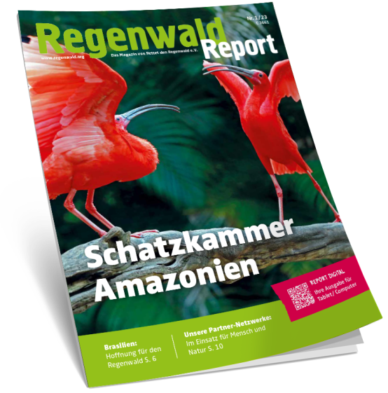 Titel Regenwald Report 1/23
