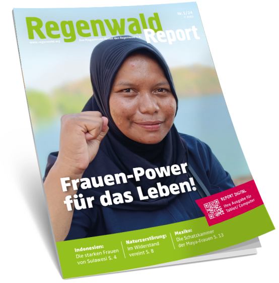 Cover Regenwald Report 01/2024