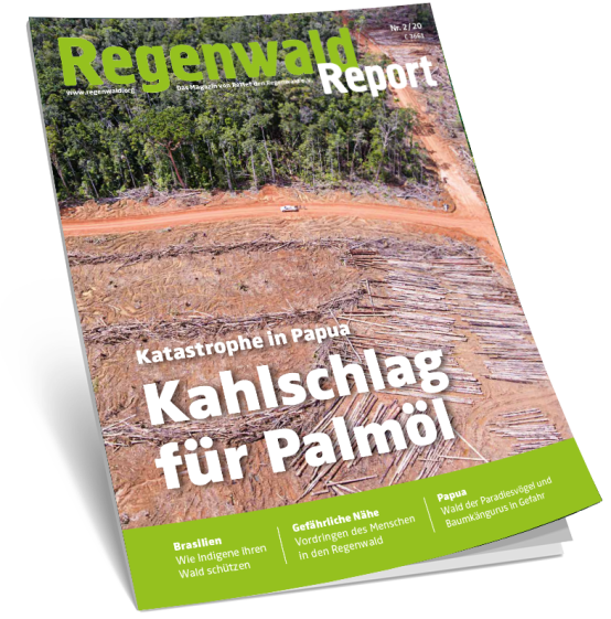 Titel Regenwald Report 2/20