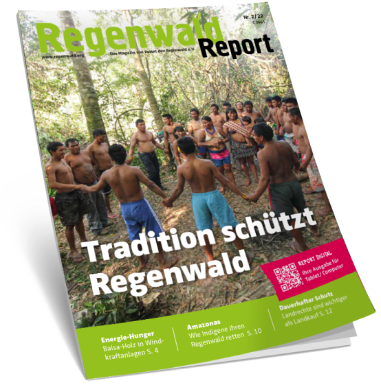 Titel Regenwald Report 2/22