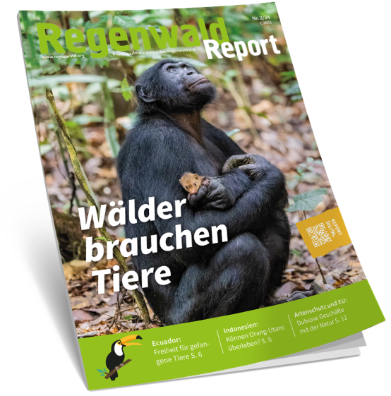 Cover Regenwald Report 02/2024