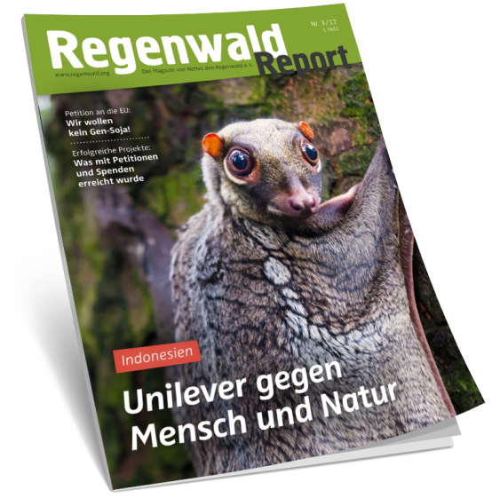 Aufmacher Regenwaldreprt 3-17