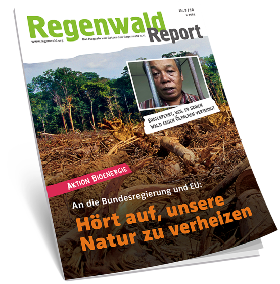 Regenwaldreport Aufmacher 3-18