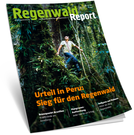 Titel Regenwald Report 3/19