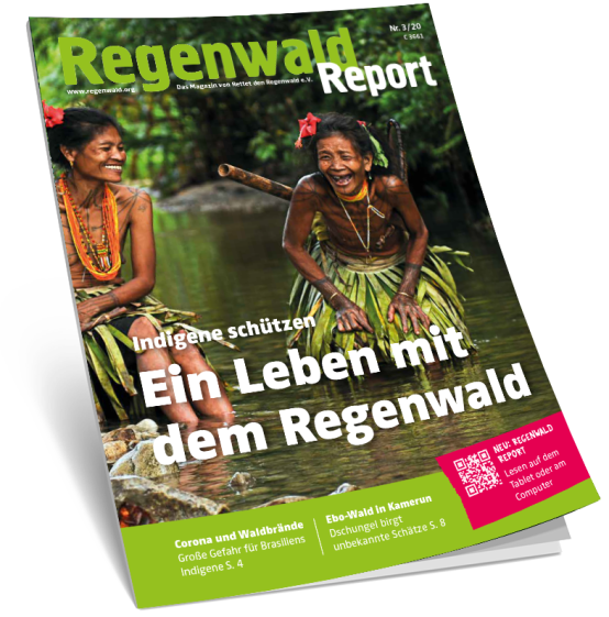 Titel Regenwald Report 3/20
