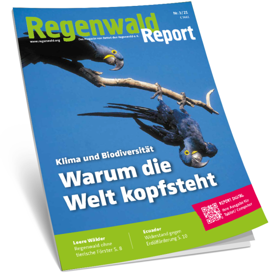 Titel Regenwald Report 3/21