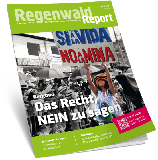 Titel Regenwald Report 3/22