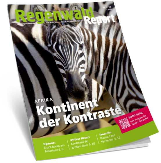 Titel Regenwald Report 3/23