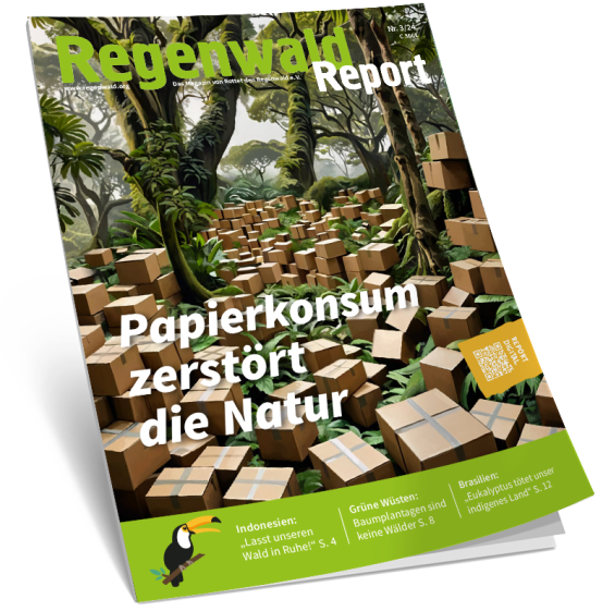 Cover Regenwald Report 03/2024
