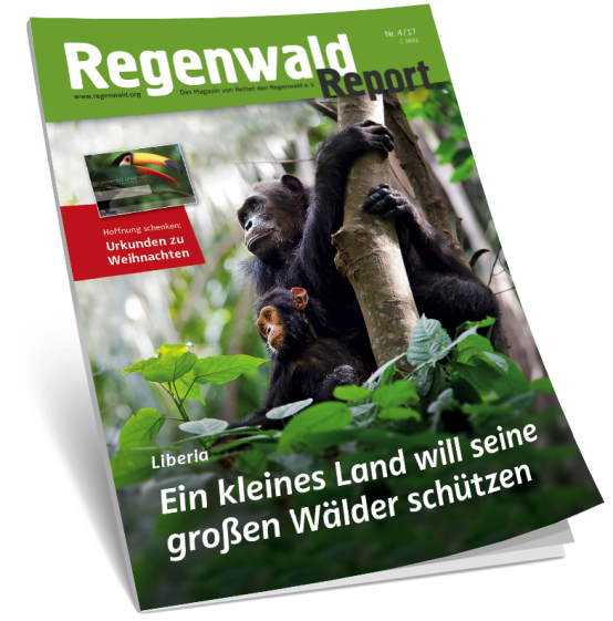 Regenwaldreport Aufmacher 4-17