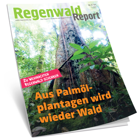 Regenwaldreport Aufmacher 4-18