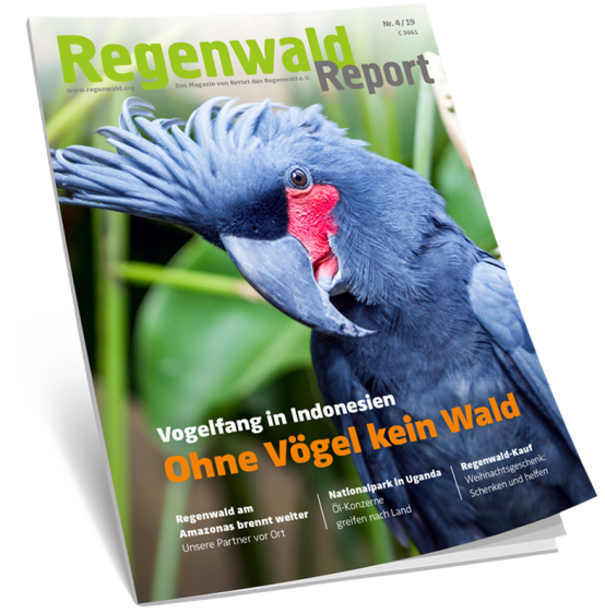 Titel Regenwald Report 4/19