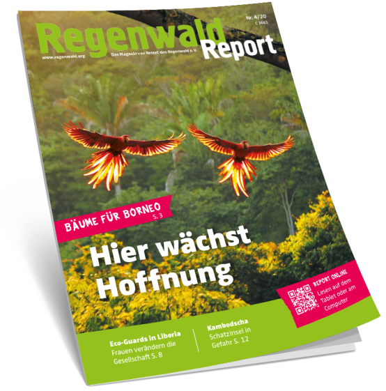 Titel Regenwald Report 4/20