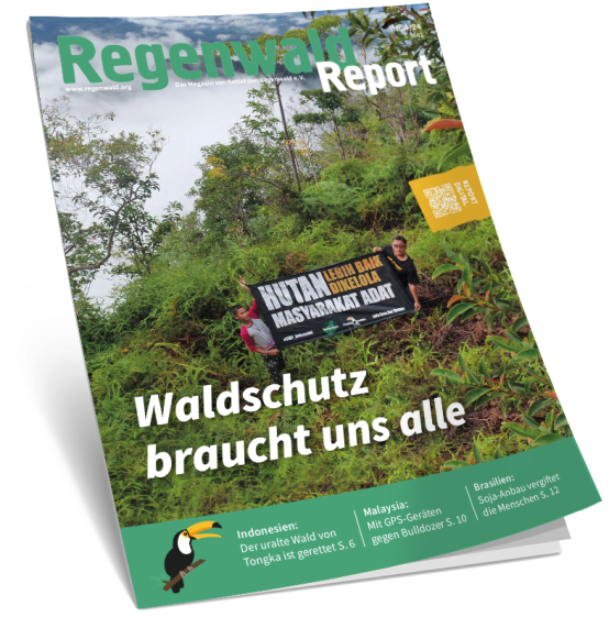Cover Regenwald Report 04/2024
