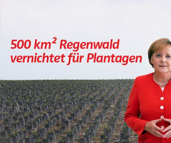 Collage: Angela Merkel vor Palmöl Plantagen in Indonesien