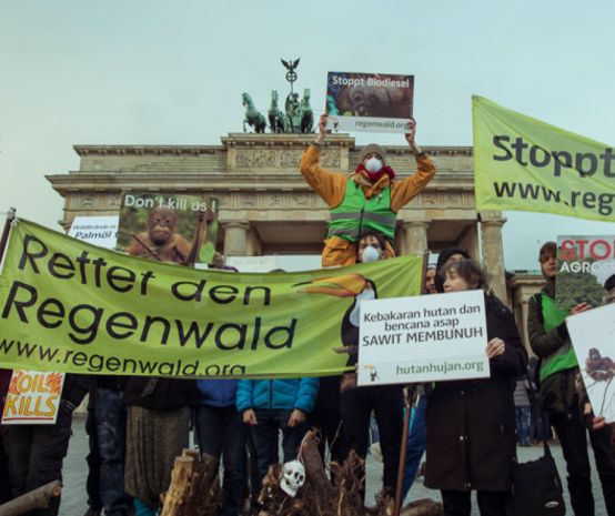 Demo Indonesien Rettet den Regenwald Berlin Brandenburger Tor