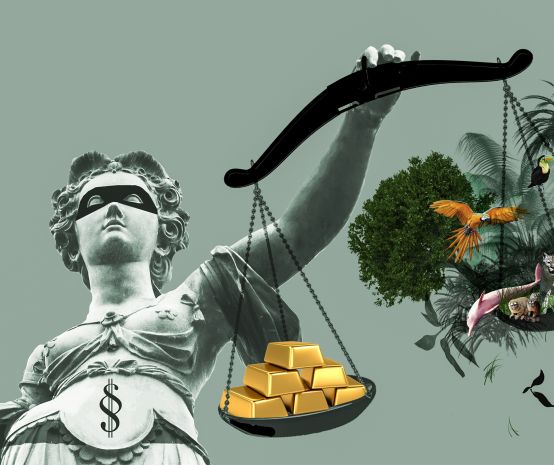 In Justicias Hand die Waagschalen mit Gold auf der einen und Regenwald auf der anderen Seite. Das Gold ist schwerer.