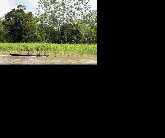 Zwei Kinder fahren auf dem Amazonas-Fluss Boot