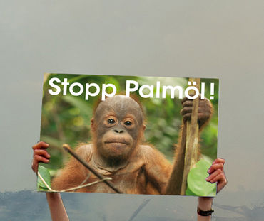 Plakat mit der Aufschrift "Stopp Palmöl"