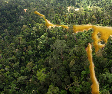 Ein Goldfluss durch den Regenwald