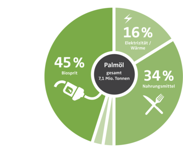 Palmölimporte in die EU und Verwendung des Palmöls