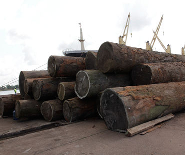 Holzstämme vor einem Hafen in Liberia
