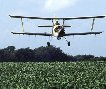 Ein Flugzeug sprüht Pestizide auf ein Sojafeld