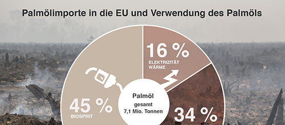 45 Prozent des Pamöl für Biodiesel