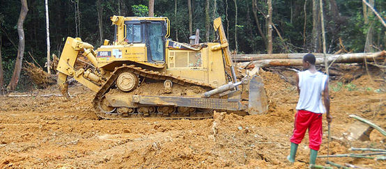 Ein Mann beobachtet einen Bulldozer im Regenwald