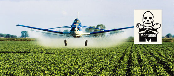 Für der Anbau von Gentech-Soja werden große Mengen Herbizide versprüht, die Mensch und Natur vergiften (Tiago Fioreze - Lizenz CC BY-SA 3.0 - Montage RdR) Ein Flugzeug versprüht Herbizide auf einer Soja-Plantage