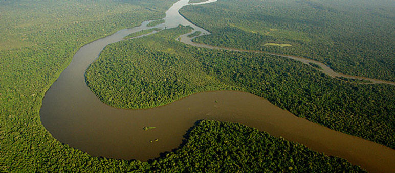 Einmalige Naturlandschaften stehen in Brasilien auf dem Spiel Der Fluss Teles Pires schlängelt sich durch den Regenwald