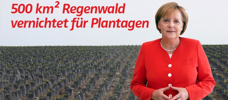 Collage: Angela Merkel vor Palmöl Plantagen in Indonesien